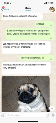 Пазл Trefl Смешные морды собак 1000элементов 10706 купить по цене 7990 ₸ в  интернет-магазине Детский мир