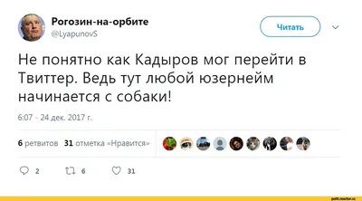 История пса Адольфа из Мариуполя: его хотели убить в Оленовке, подарили  Кадырову, но хозяйка смогла его вернуть