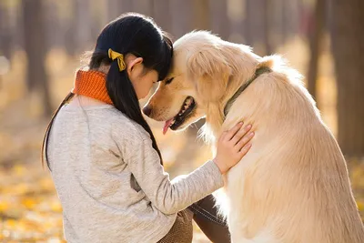 Guard Dogs Nation on Instagram: “Beauty and the Beast💛 . . . 📸  @guard_dogs_worldwide . . . . #caneco… | Сторожевая собака, Крупные породы  собак, Гигантские собаки