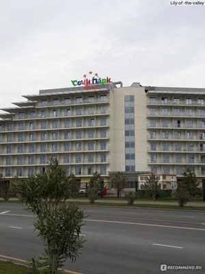 Полный обзор Сочи Парк отель: реальные отзывы - сам жил в нём! Сочи зимой  прекрасен, январь 2022 - YouTube