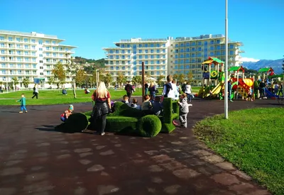Сочи в январе: отдых и погода в Сочи (Россия)
