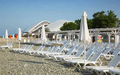 https://yandex.ru/maps/org/sochi_park/79909708914/