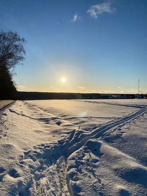 Солнечная зима фото