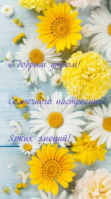 Летнего солнечного настроения на весь год! — Скачайте на Davno.ru