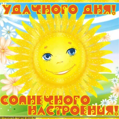 Открытка Солнечного настроения! Львёнок - купить с доставкой в  интернет-магазине OZON (170626688)