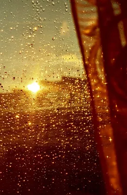 Удивительные моменты: Солнце и дождь в идеальном сочетании