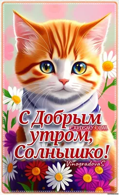 Мудрость жизни - С добрым утром, солнышко родное, С добрым утром, чистая  вода, С добрым утром, небо голубое, Утро добрым будет пусть всегда! |  Facebook