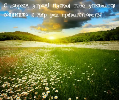 📎26▫☀Раннее утро, солнышко встало.Доброе утро, тебе прошептало. | Доброе  утро, Цветочные картины, Открытки