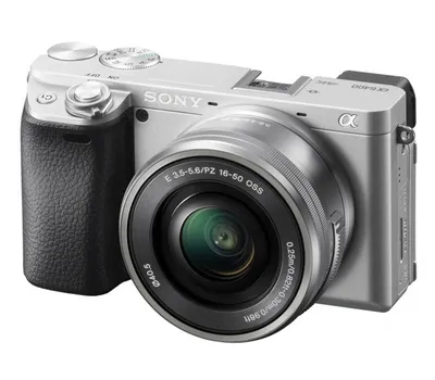 Примеры снимков на камеру Sony A7C - Photar.ru