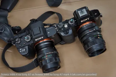 Sony Alpha A7 II пример фотографии 260019585