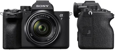 Обзор от покупателя на Цифровой фотоаппарат Sony Alpha A7S II (M2) Body  (без объектива) — интернет-магазин ОНЛАЙН ТРЕЙД.РУ