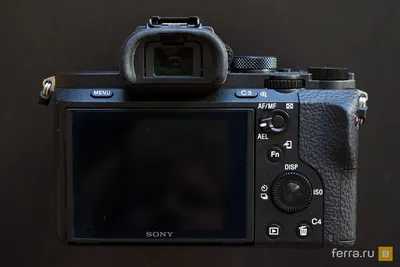 Фотоблог 365: Сходства и различия камер Sony A7 II, A7S II и A7R II