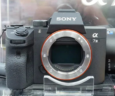 Фотоблог 365: Сходства и различия камер Sony A7 II, A7S II и A7R II