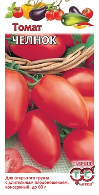 Сорт помидор челнок фото фотографии