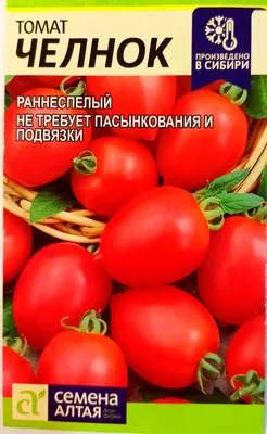 Томат Челнок. Маленький, но очень урожайный сорт! Ранний, неприхотливый!  Обзор на улице, дегустация. - YouTube