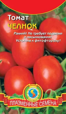 Отзыв о Семена томата Фирма Класс \"Челнок\" | Мой любимый размер и форма для  консервирования.