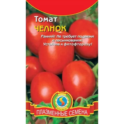 Купить семена: Томат Челнок - цены,фото,отзывы | Green-Club.com.ua