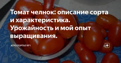 Купить семена помидора \"Челнок\" (Семена Украины) почтой | «фазенда»