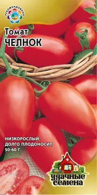 Сорт томатов Челнок, описание, характеристика и отзывы, а также особенности  выращивания