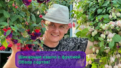 Фуксии 2 сорта; колерия; оксалисы кислицы 3 сорта саженцы черенки: 29 грн.  - Сад / город Київ на Olx