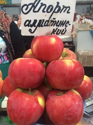 Саженцы Яблоня Россошанское полосатое Купить в питомнике