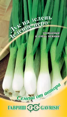 Купить лук на зелень зеленое перо - Доставка по Самаре и всей России |  Интернет-магазин семян «Усадьба»