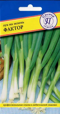 Лук Престиж семена 407102-1 - купить по выгодным ценам в интернет-магазине  OZON (632449827)