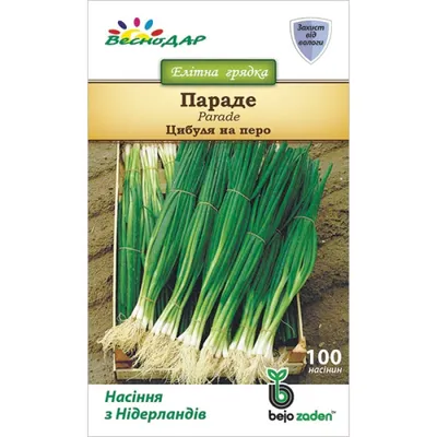Семена лука Параде купить в Украине | Веснодар