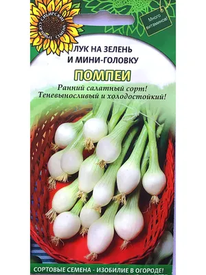 Сибирский сад Семена Лука На зелень Нубуко Эвергрин