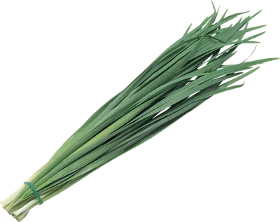 Семена лука на зелень Фактор 1 кг (id 76867123), купить в Казахстане, цена  на Satu.kz