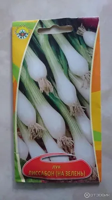 Семена лука на зелень (на перо) ГЕРДА semo 500г (200 000 семян)  (ID#1373568029), цена: 3250 ₴, купить на Prom.ua