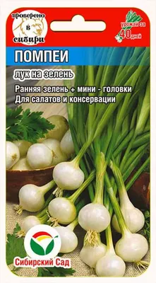 Отзыв о Семена \"Семена\" Лук Лиссабон (на зелень) | Хороший урожай, вкусный  лук.