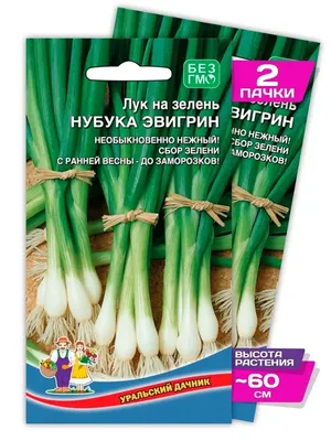 Купить Лук на зелень Нубуко Эвергрин 0,5гр. за 12 руб. почтой |  «Сад-Эксперт» – Семена лука на зелень