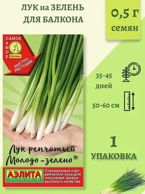 Семена лука Батун купить в Украине | Веснодар