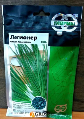 Семена лука на перо Легионер (Гавриш) купить в Украине. Цена, отзывы.  Интернет магазин Agross.biz