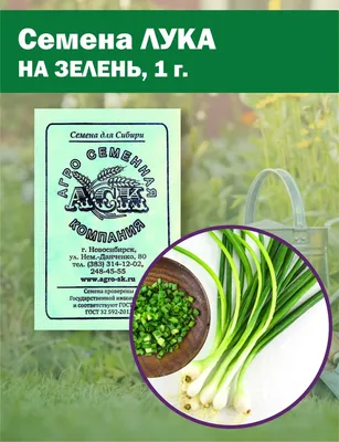 Семена лука на зелень б/п, 1 г — купить в интернет-магазине по низкой цене  на Яндекс Маркете