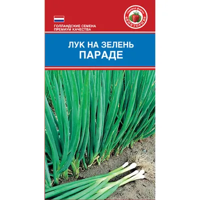 Купить семена лука в интернет-магазине Semena.ru с бесплатной доставкой  почтой России
