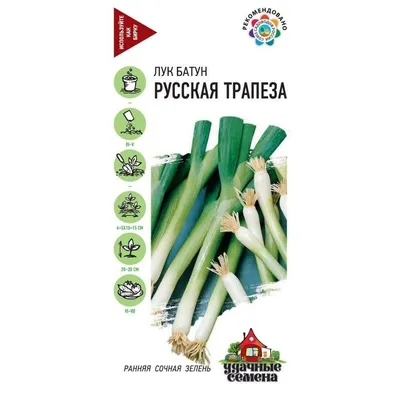 Купить семена Лук батун Русская трапеза на зелень 0,5 г Удачные (Гавриш),  семена лука в интернет-магазине Калинка.Маркет заказать почтой