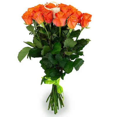 Розы Щёлково|Заказать букет из 49 роз с доставкой в Щёлково - Lilium