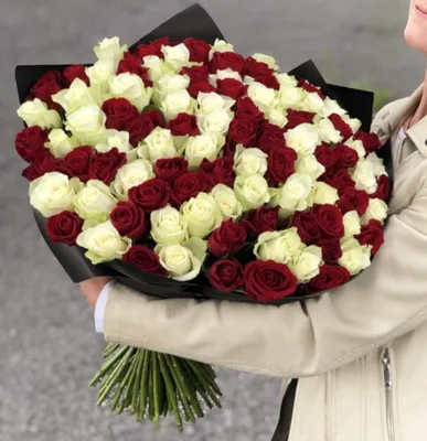 Розы сорт «Лола» | Цветы в Иваново | ул. Палехская д. 4
