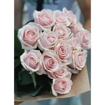 Розы сорт «Моди блюз» | Цветы в Иваново | ул. Палехская д. 4