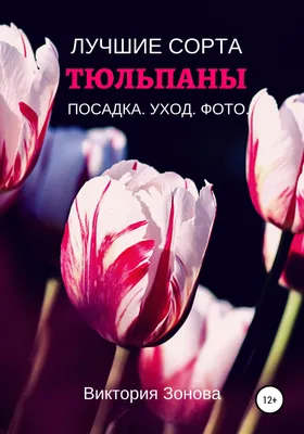 Разновидность тюльпанов — SonceSad Разновидность тюльпанов — SonceSad
