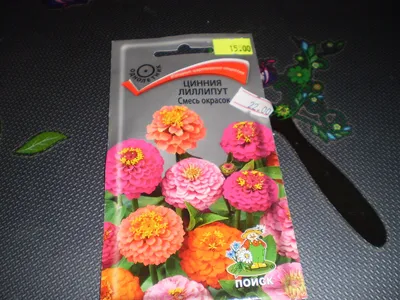 Цинния махровая Дабл Захара Микс (смесь) - 6 шт 390 руб. AGRO4198