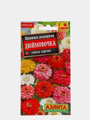 Циннии ПОИСК Агрохолдинг cinniaiz, 8 г - купить по выгодным ценам в  интернет-магазине OZON (178917214)