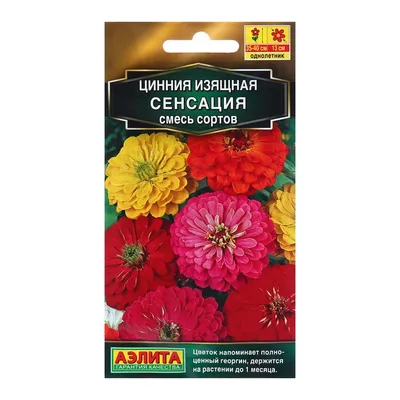 Циния