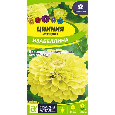 Подбор и оценка сортов циннии изящной для озеленения в Ленинградской  области – тема научной статьи по биологическим наукам читайте бесплатно  текст научно-исследовательской работы в электронной библиотеке КиберЛенинка