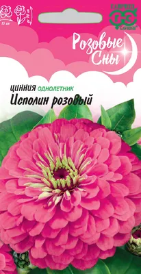Купить Цинния Изабеллина изящная (Семена алтая) с доставкой почтой по России