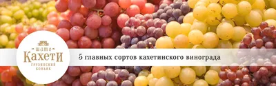 Все сорта винограда в Молдове купить в Кишиневе