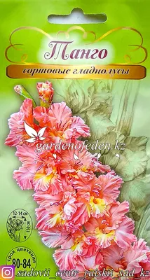 гладиолус | Цветы, Гладиолусы, Пастель