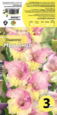 Семена пакетированные Алькор. Гладиолус сортовой \"Лидия\" (id 61418258)